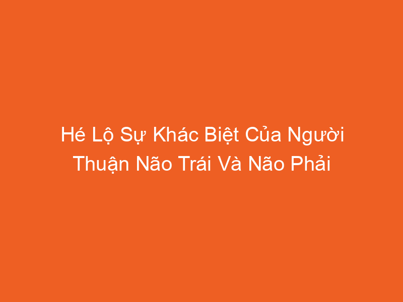 Hé Lộ Sự Khác Biệt Của Người Thuận Não Trái Và Não Phải 